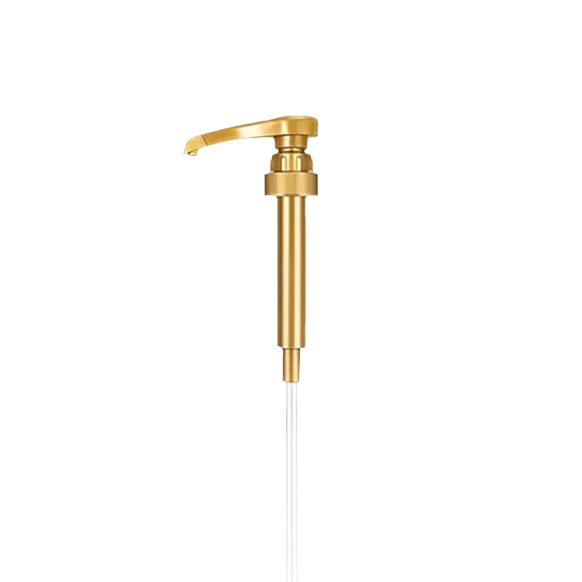 Fit cook- Pompe à sirop